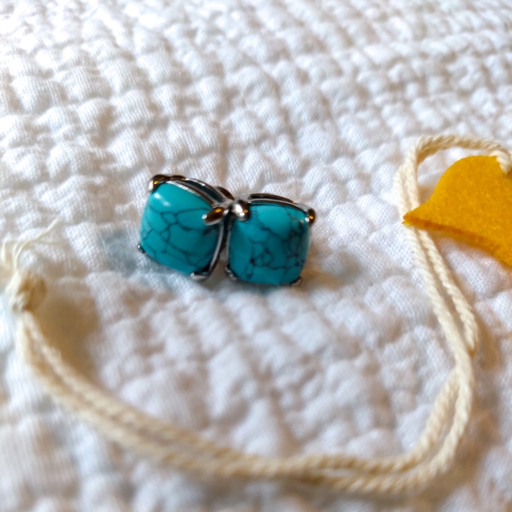 NIB Chloe + Isabel turquoise stud earrings